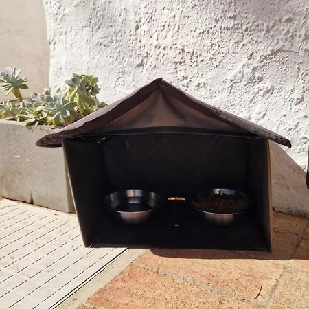 Apartmán Paulo's 104 Albufeira