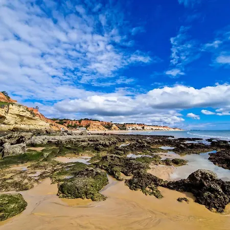 דירה Paulo's 104