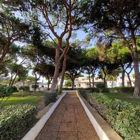 דירה Paulo's 104 אלבופיירה