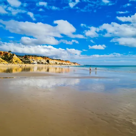 公寓 Paulo's 104 阿尔布费拉