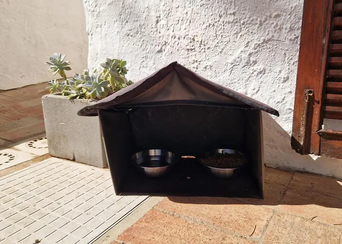 公寓 Paulo's 104 阿尔布费拉